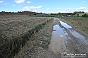 VBS_5340 - La solita strada... il grano da crescere, i campi da arare...